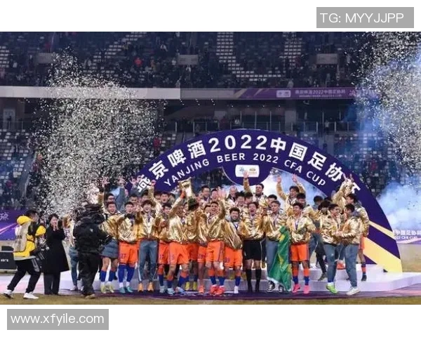 泰达迎战永昌足协杯激战在即球迷期待精彩对决与历史交锋